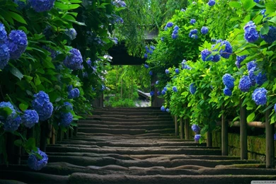 Japanese Gardens Wallpapers   Wallpapers Cave