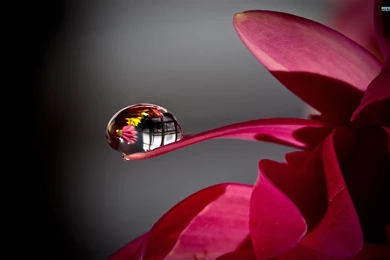 Water Droplets Wallpapers   Wallpapers Cave