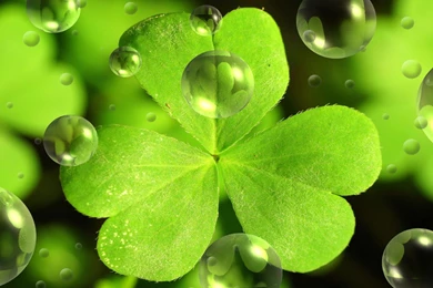 St Patrick Pictures Free   Wallpapers HD Base