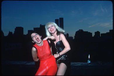 Blondie Photo, Pics, Wallpapers   Photo