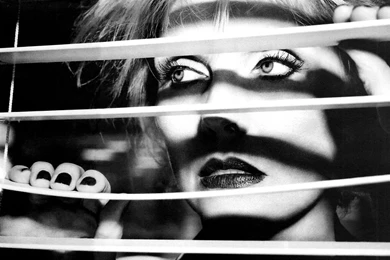 Jungle Indie Rock Music Tumblr • Blondie (wallpaper)