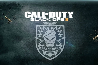 Call Of Duty Black Ops 2 Logo 36342 Wallpapers Palloc