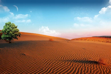 Desert Wallpapers Collection (33+)