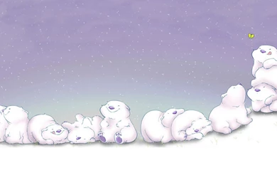 Roly Poly Polar Bears Funny Art Hd Wallpapers   (