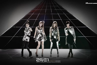 Wallpapers   2NE1 Wallpapers (24150752)   Fanpop