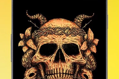 Amazing Skull Wallpapers   Android Apps On Google Play