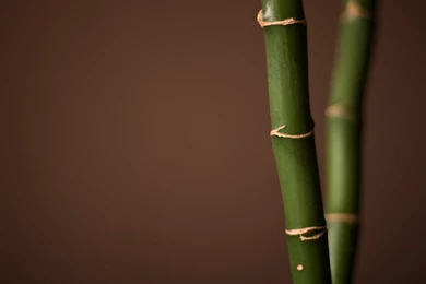 Simple Wallpapers For Desktop