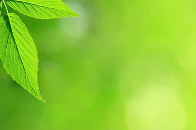 Nexus 4 Wallpapers HD   Beautiful, Stunning Wallpapers