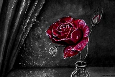 Beautiful Abstract Wallpapers 3D