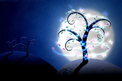 Beautiful Abstract Wallpapers Hd