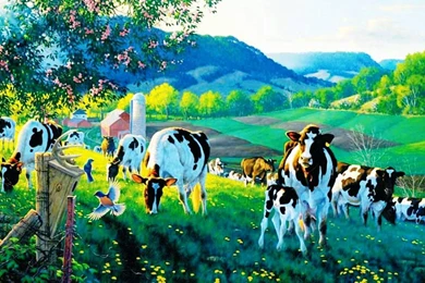 Country Scene Wallpapers   Wallpapers Zone