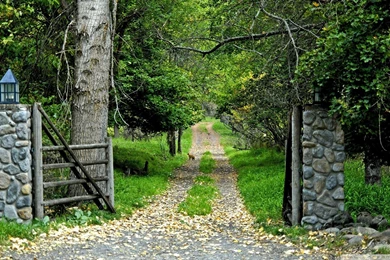 Download Nature Scenes 23 Wallpapers 1920x1080