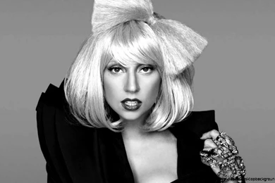 Lady Gaga Wallpapers 2015 White Backgrounds