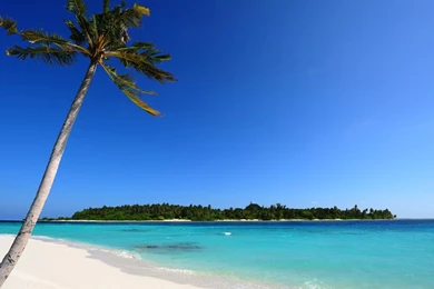 Desktop Wallpapers 1280X1024   HD Wallpapers And Pictures