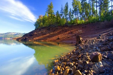 Nature Trees Forest Hdr Photography 1280x1024 Wallpapers – Abstract ...