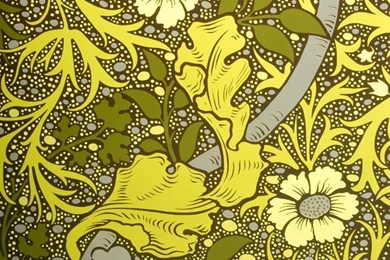 Flavor Paper   Kabloom Wallpapers   Modern   Wallpapers   By 2Modern