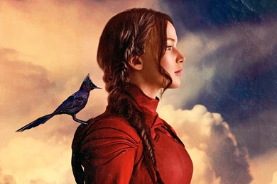 Hunger Games Wallpapers HD3864   Ittipz.com   Ittipz.com