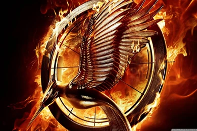 The Hunger Games: Catching Fire Wallpapers   LivingFilms Wallpapers ...