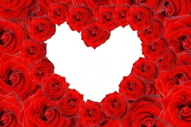 Love Heart Wallpapers Free Download   Wallpapers Zone