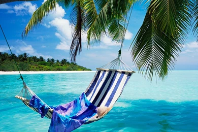 Beach Hammock Pictures   Wallpapers HD Fine