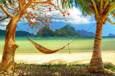 Wallpapers For Hammock Pictures » Resolution 2560x1600px