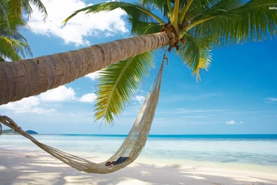 Hammock Wallpapers   Full HD Wallpapers Search