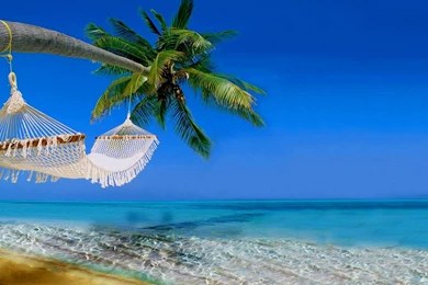 B3B09B Color Wallpapers: Beach Hammock Palms Sea Shore Ocean Palm ...