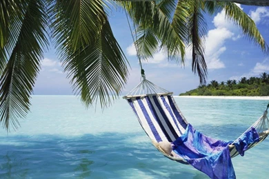 Tropical Beach Hammock Wallpapers HD