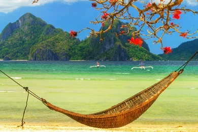 Download Tropical Beach Hammock Wallpapers Wallpapers For iPhone 4