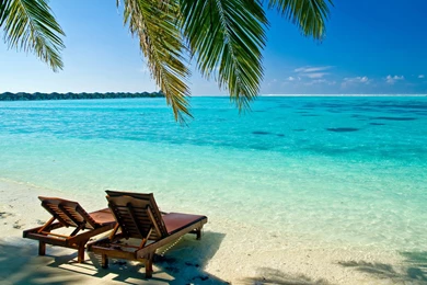 Tropical Beach Pictures Hammock Wallpapers Full HD   Kemecer.com