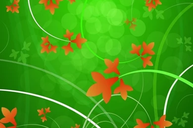 iPhone 5 Wallpapers Floral Pattern 08