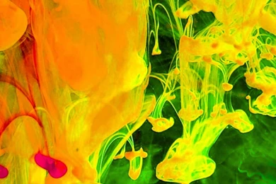 Downloadable Cell Phone Wallpapers