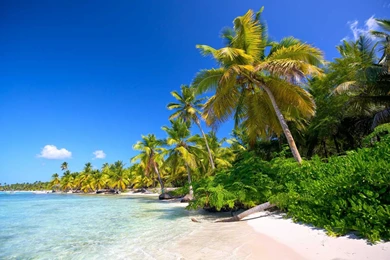 Tropical Beach Landscape Wallpapers HD Best Collection