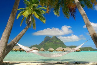 Tropical Beach Resort And Palm Hammocks Wallpapers, Beach Pictures ...