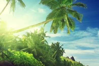 Tropical Beach Live Wallpapers Android Apps On Google Play