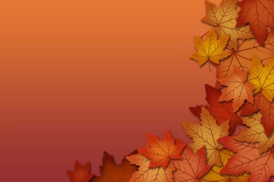 Fall Leaves Wallpapers   Uwallo