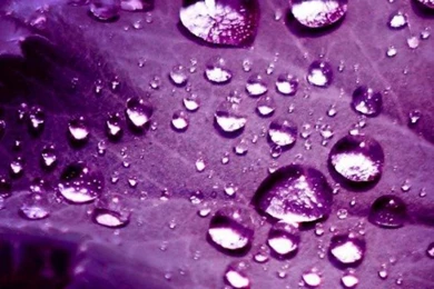 Hd Wallpapers For Iphone 4 Mobile Styles