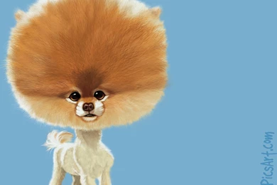 Bet365 Goliath Bet365 Rules Tennis Picture And Photos