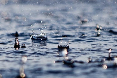 Raindrop Wallpapers   Free iPhone Wallpapers