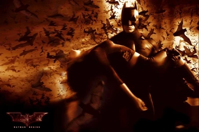 Wallpapers Batman Begins Movie 1024x768