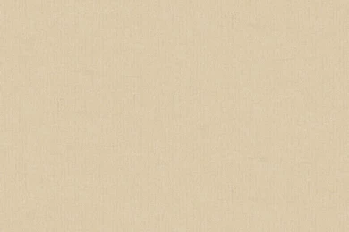 Arthouse Paparazzi Simply Chic Textured Wallpapers Beige 562702 At ...