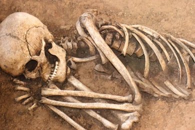 Full HD 1080p Bones Wallpapers HD, Desktop Backgrounds 1920x1080