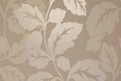 Beige Wallpapers   Widescreen HD Wallpapers