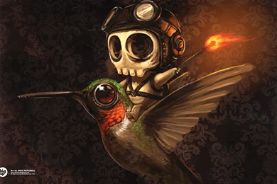 Download The Skeleton Humming Bird Wallpaper, Skeleton Humming ...