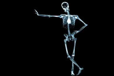 Skeleton Wallpapers ~ Desktop Wallpapers