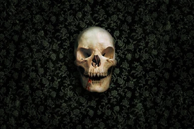 Page 2: Ultra HD 4K Skeleton Wallpapers HD, Desktop Backgrounds ...