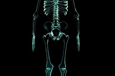 Article 310 Image Skeleton From Above X Ray Artwork Final ...