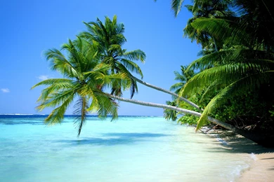 Summer Beach Island HD Desktop Wallpapers