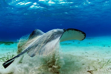 Top Maladewa Island Wallpapers Desktop Wallpapers