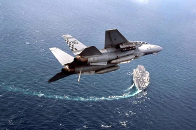 Art Pictures: Grumman F 14 Tomcat Wallpapers